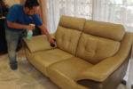 couch cleaning perth.jpg