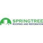 Springtree Restoration.jpg