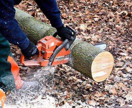 logs-being-cut-in-wheaton.jpg