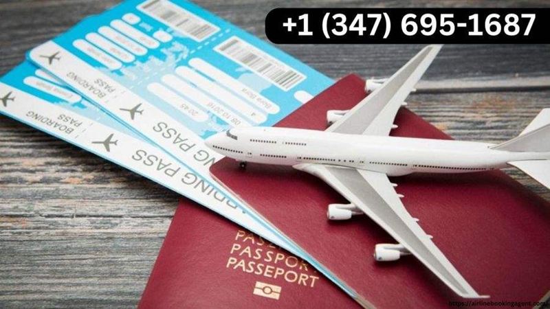 Airlines Booking Agent +1 (347) 695-1687 .png