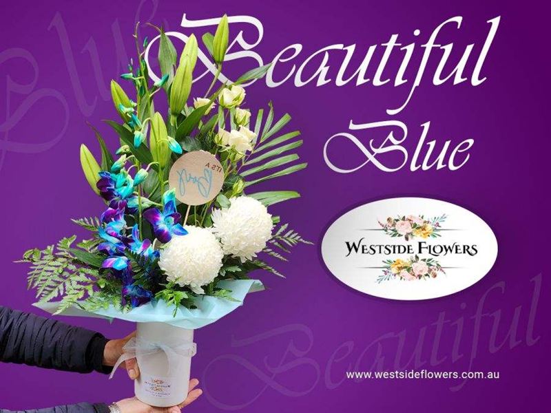 Beautiful Blue[2.jpg