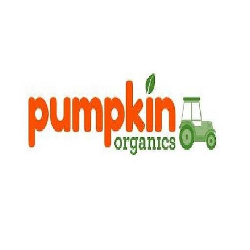 PumpkinOrganic_Logo_400x100_410x_410x_2b44f7aa-9dff-4cd4-8239-3497e3700ecd_410x.jpg
