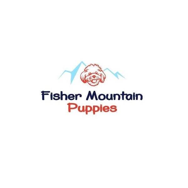 Fisher Mountain Puppies long.jpg