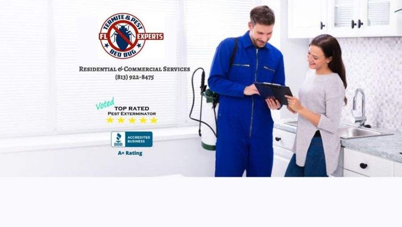 fl bed bug experts Cover.png