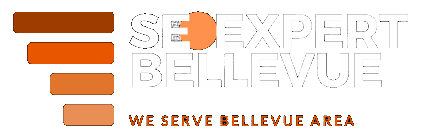 Seo Expert Bellevue