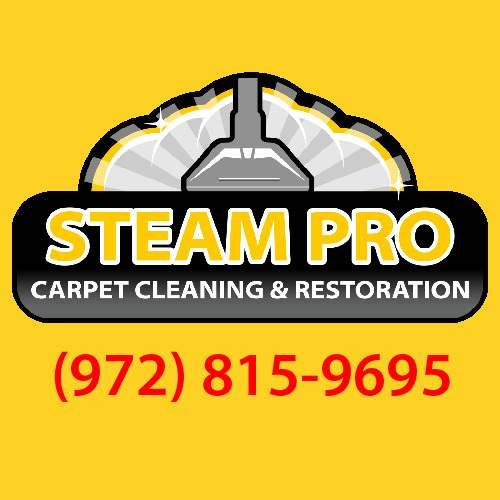 Steam Pro Carpet Cleaning & Restoration World Business Zone