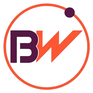 BwLogics Website development Company