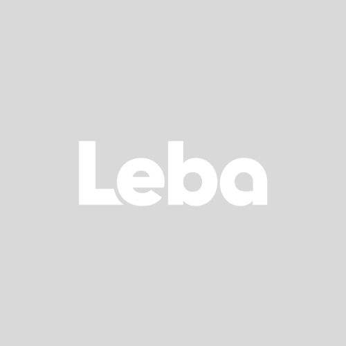 Leba Logo.jpg