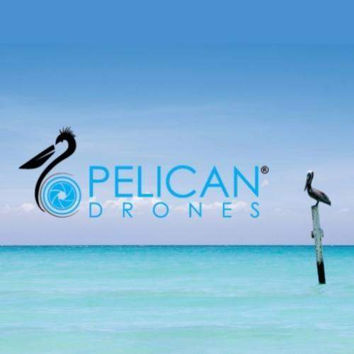 pelicandrones.jpg