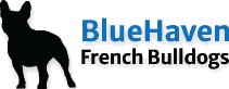 Bluehaven logo.png