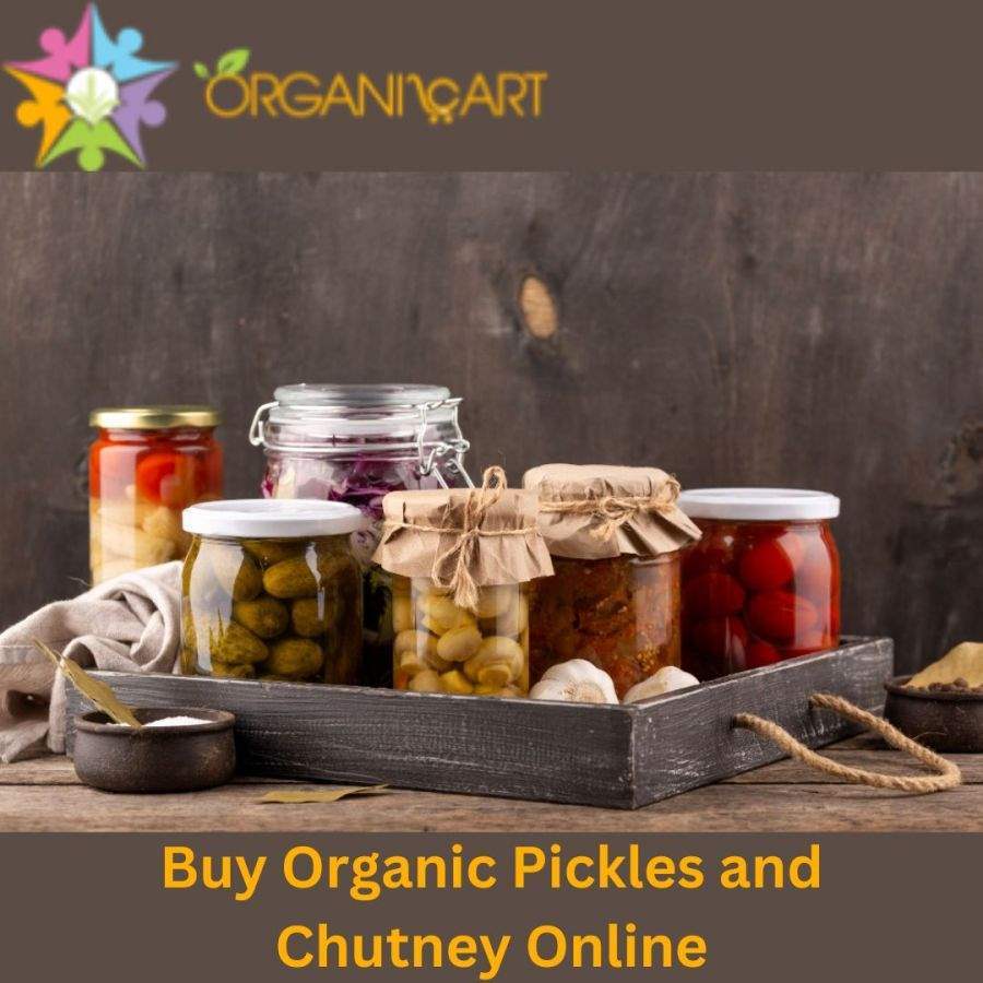 Buy Organic Pickles and Chutney Online  Organicart.co.in.png