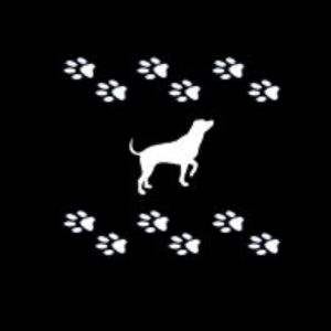 POND VIEW BOARDING KENNELS