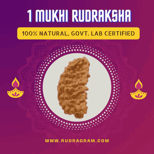 1MukhiRudraksha.jpg