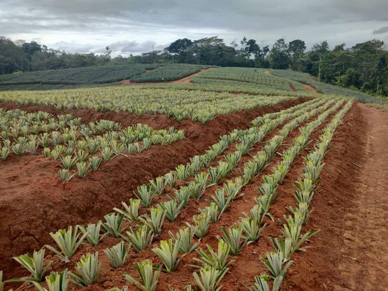 WhatsApp Image 2024-02-02 at 7.16.58 AM (1).jpeg