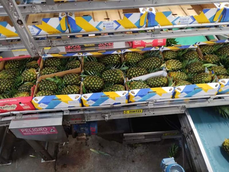 WhatsApp Image 2024-02-02 at 7.16.57 AM.jpeg