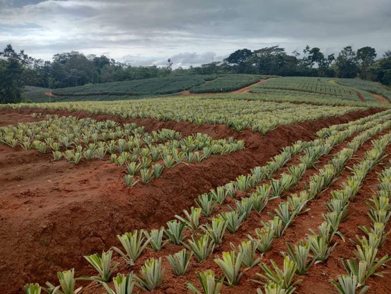 WhatsApp Image 2024-02-02 at 7.16.57 AM (1).jpeg