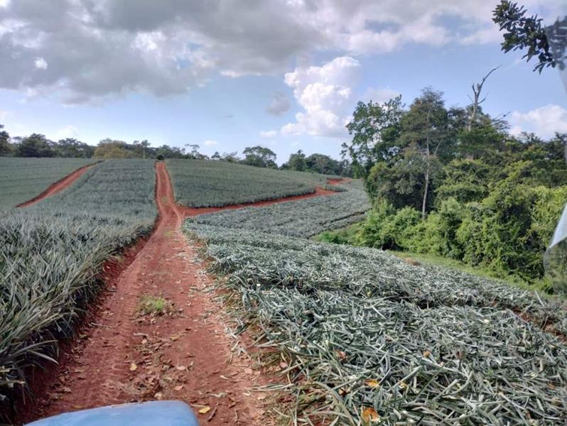 WhatsApp Image 2024-02-02 at 7.16.25 AM.jpeg