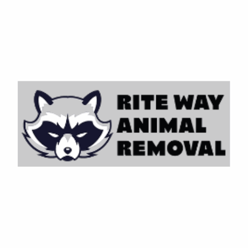 Rite Way Animal Removal