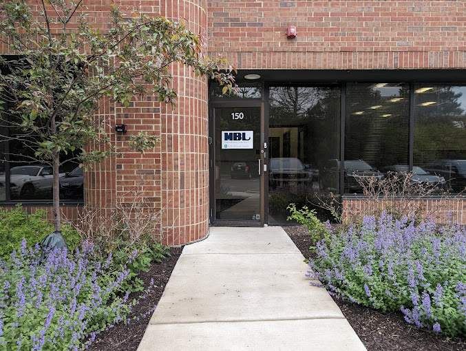 MBL International.jpg