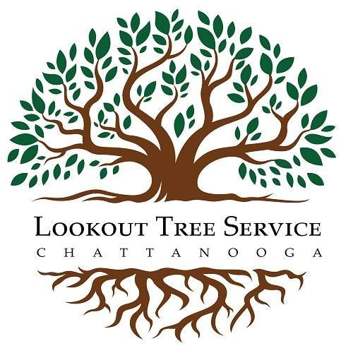 Lookout Tree Service Chattanooga.jpg