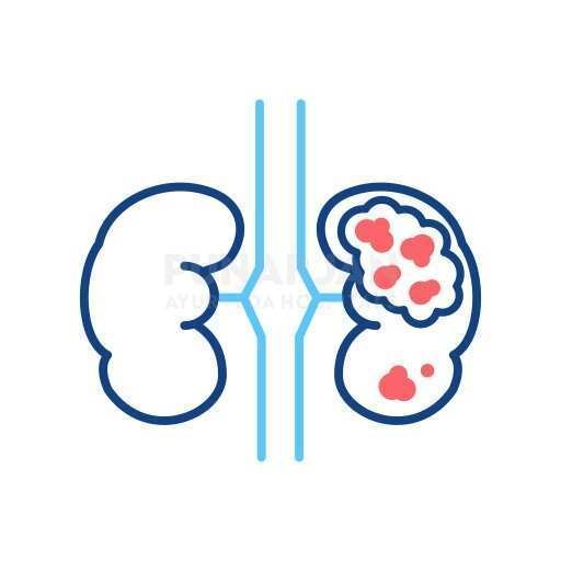 10_Kidney Cancer Profile Pic.jpg