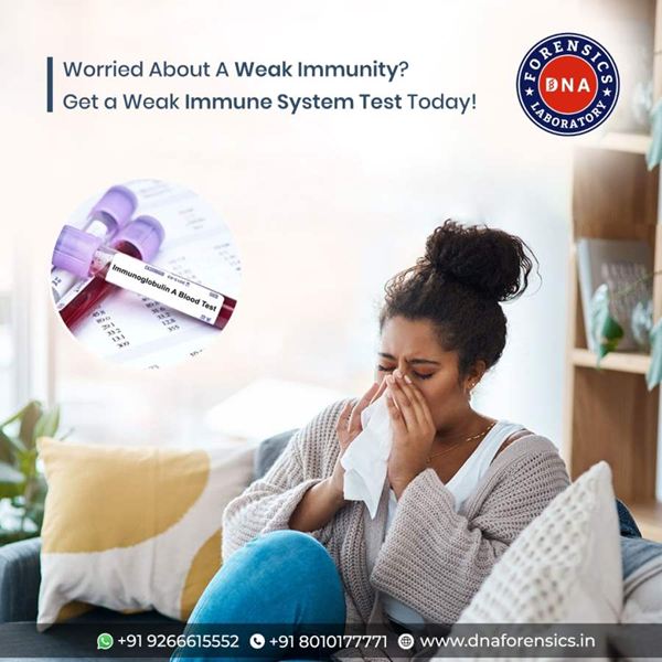 dfl immune system.jpg