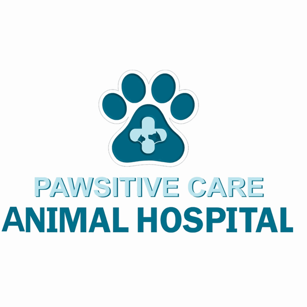 Animal Care Services in VA.png