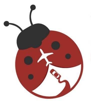 Ladybird Taxis Airport Transfer