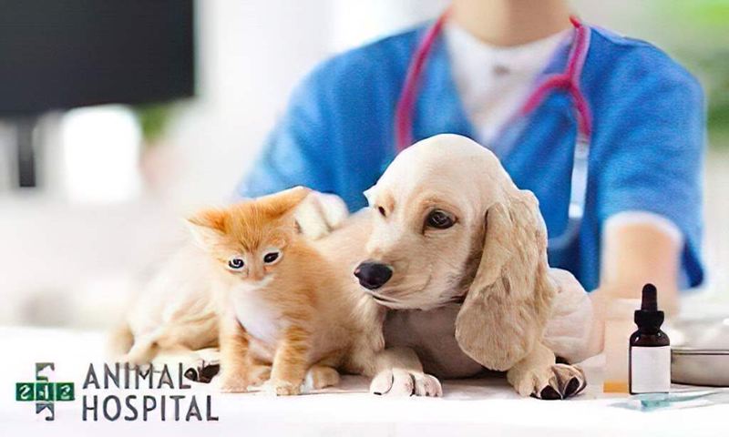 download (1) (1).jpg