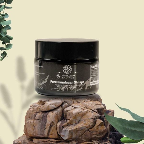 mohxintradings 5.jpg