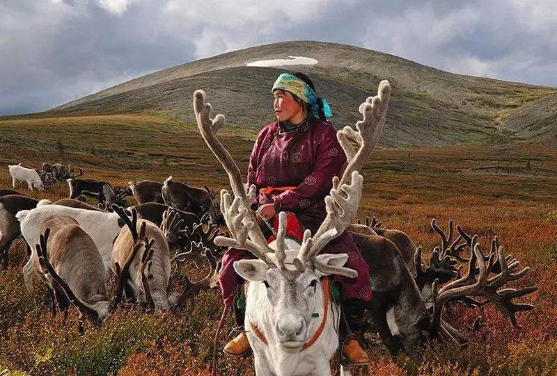 reindeer-herder.jpg