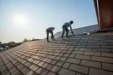 fallback-no-image-281066