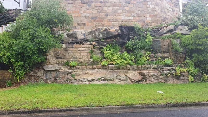 WhatsApp Image 2023-07-27 at 12.31.24 PM (1).jpeg