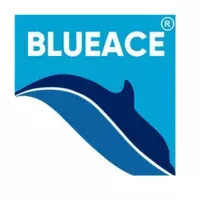 Blueace India Limited