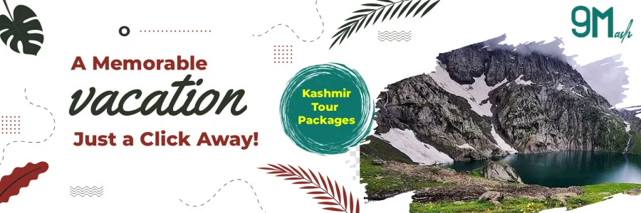 ninemash cover image.jpg