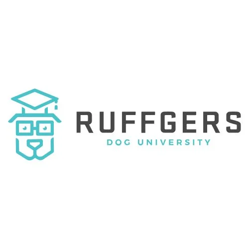 Untitled design - 2025-10-01T081356.841.jpg