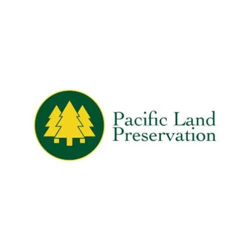 Untitled design (16).jpg