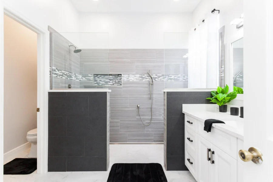 Bathroom Remodel Tampa.jpg