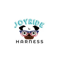 Joyride logo.png