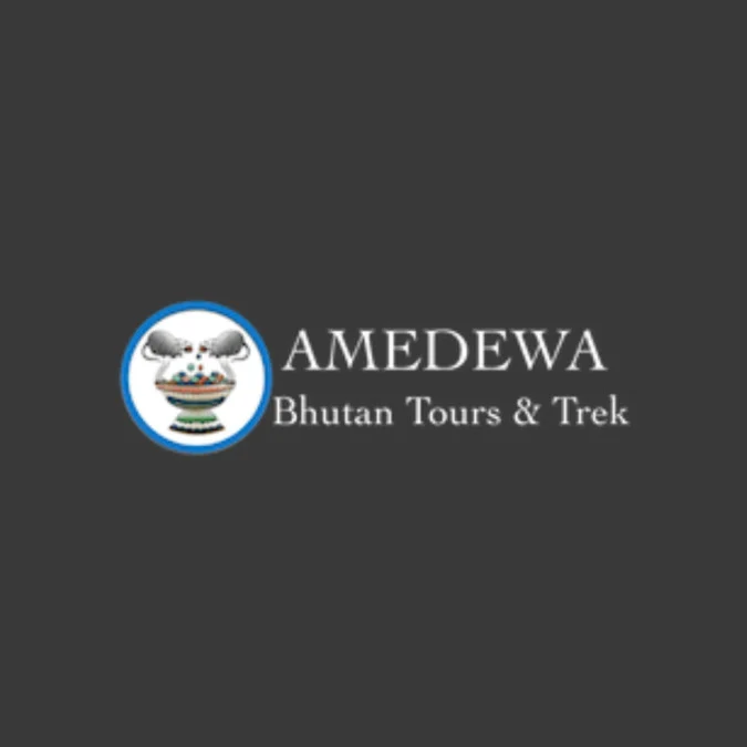amedewa logo.jpg