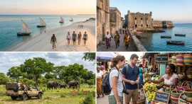 Mozambique eVisa Online for Cameroon Citizens Easy Online