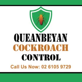 Queanbeyan Cockroach Control