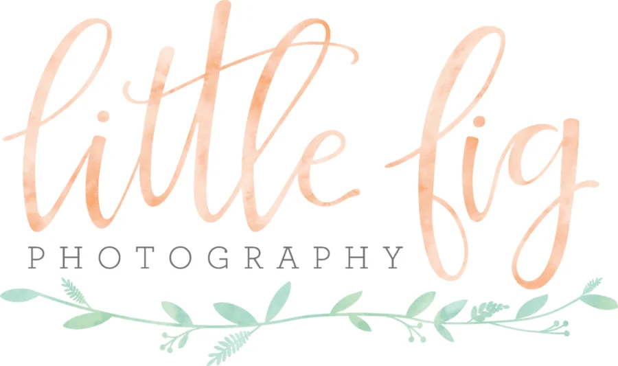 little fig banner.png