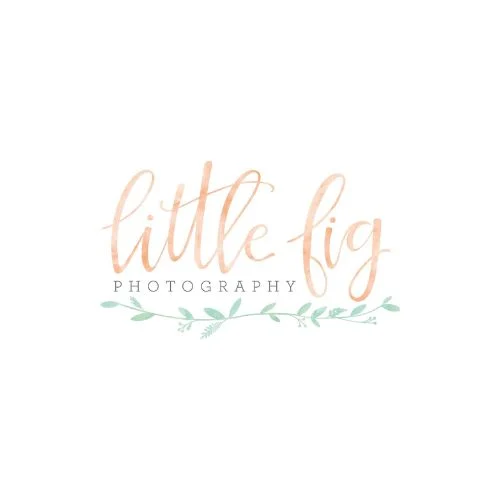Little-fig-jpg-500.jpg