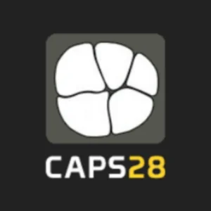 CAPS28 Computing Assisted Practice Solutions