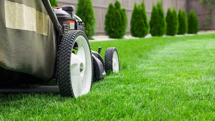 lawn-mowing-melbourne.jpg