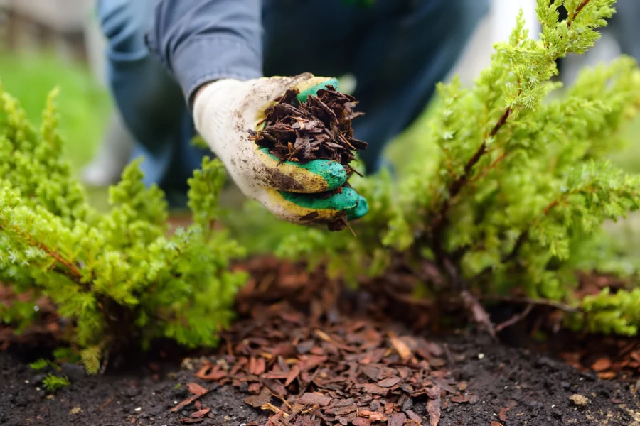 mulching-melbourne (1).jpg
