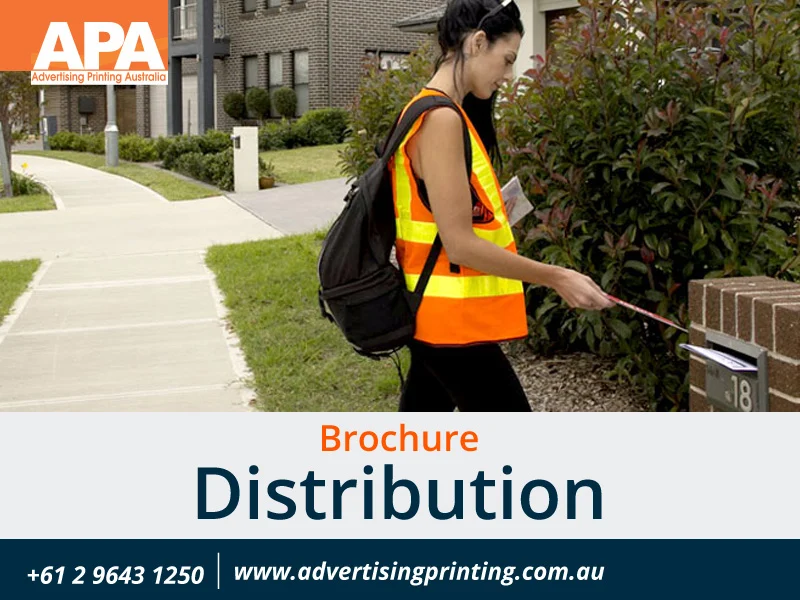 Brochure-Distribution.jpg