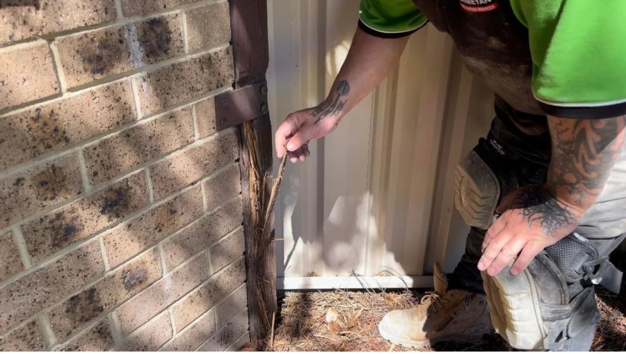 Queanbeyan Pest Control Team in Uniform 2.jpg