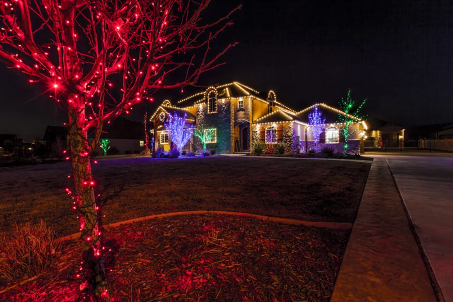 Christmas Light Company in Chesapeake.jpg
